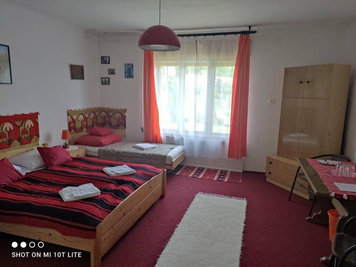 Apartamento Szajkó Vendégház Mucsi Exterior foto